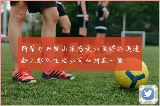 斯蒂尔加盟山东感受如鱼得水迅速融入球队生活如同回到家一般