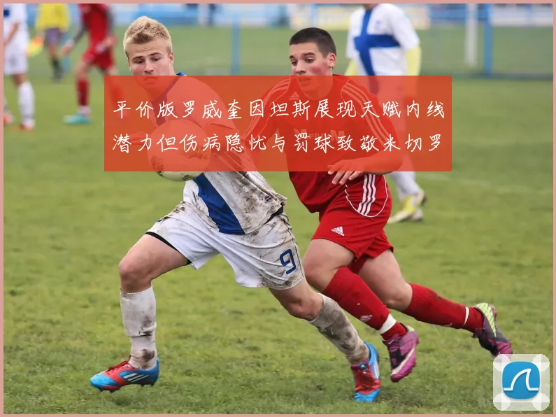 平价版罗威奎因坦斯展现天赋内线潜力但伤病隐忧与罚球致敬米切罗