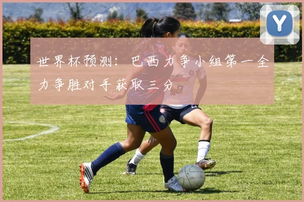 世界杯预测：巴西力争小组第一全力争胜对手获取三分