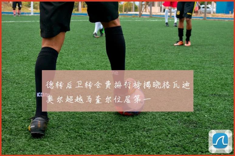 德转后卫转会费排行榜揭晓格瓦迪奥尔超越马奎尔位居第一